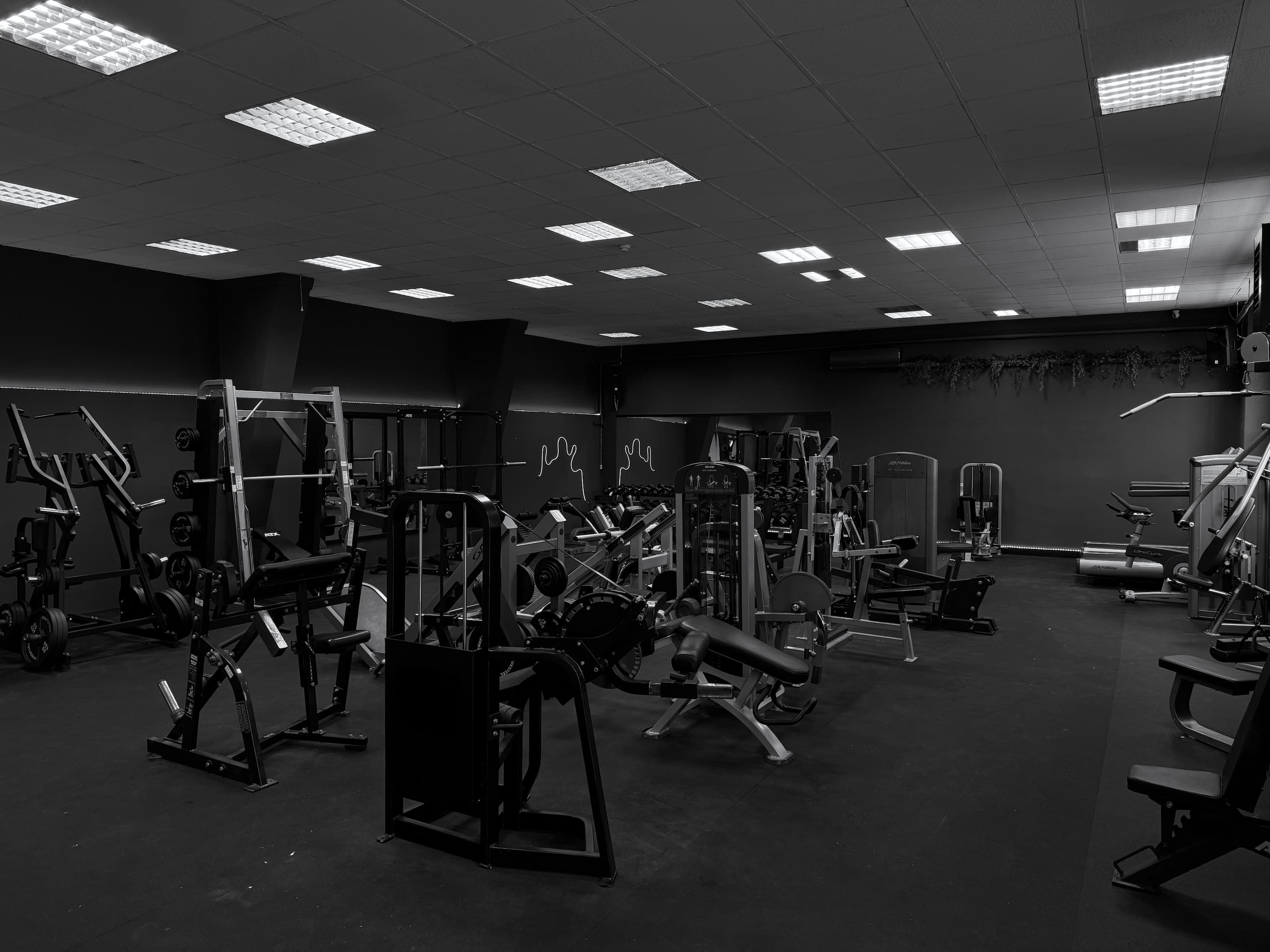 MYES Gym pozadí